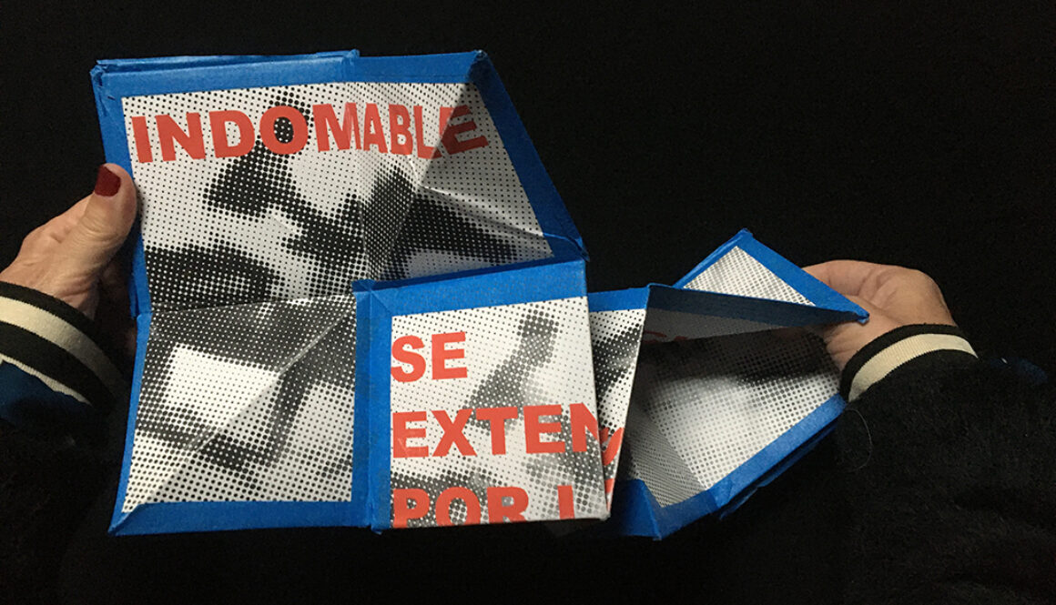 caballofantasma_11