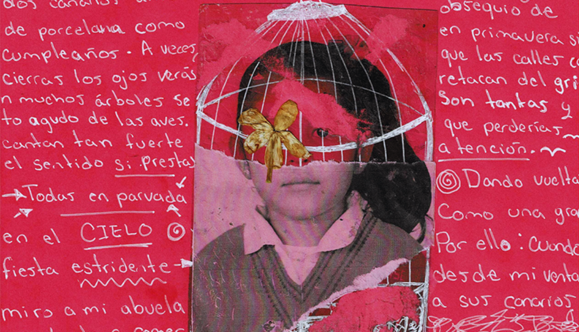 Mon_zona_d_riesgo_1
