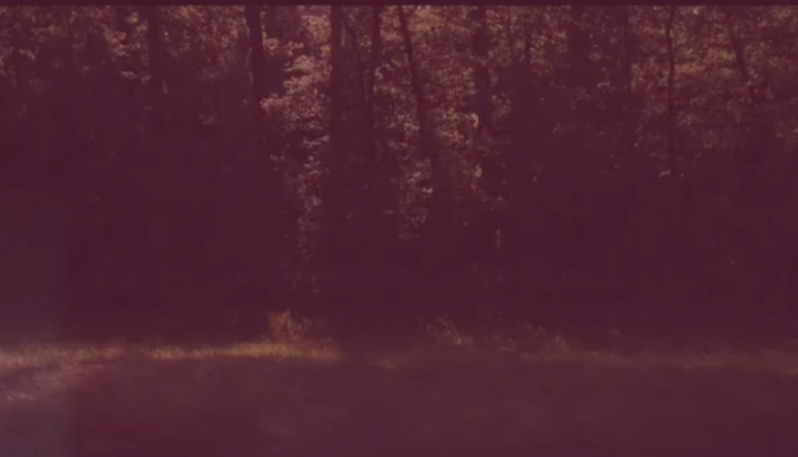 zura video 2