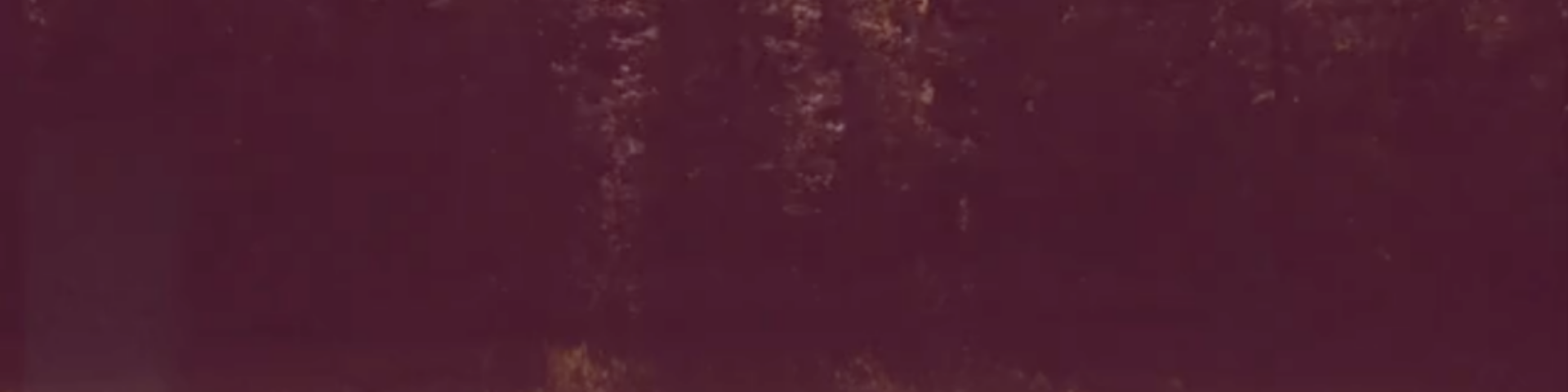 zura video 2