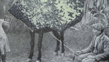 Camilo-Barboza_4-768x576