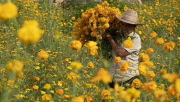 171_Previa_20211030_4411