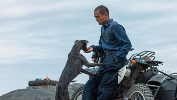 Black dog sitio web