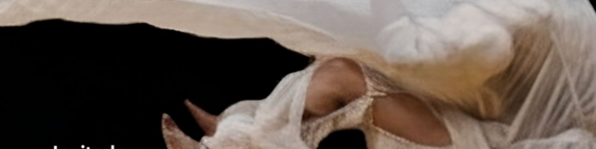 prompting coreográfico2