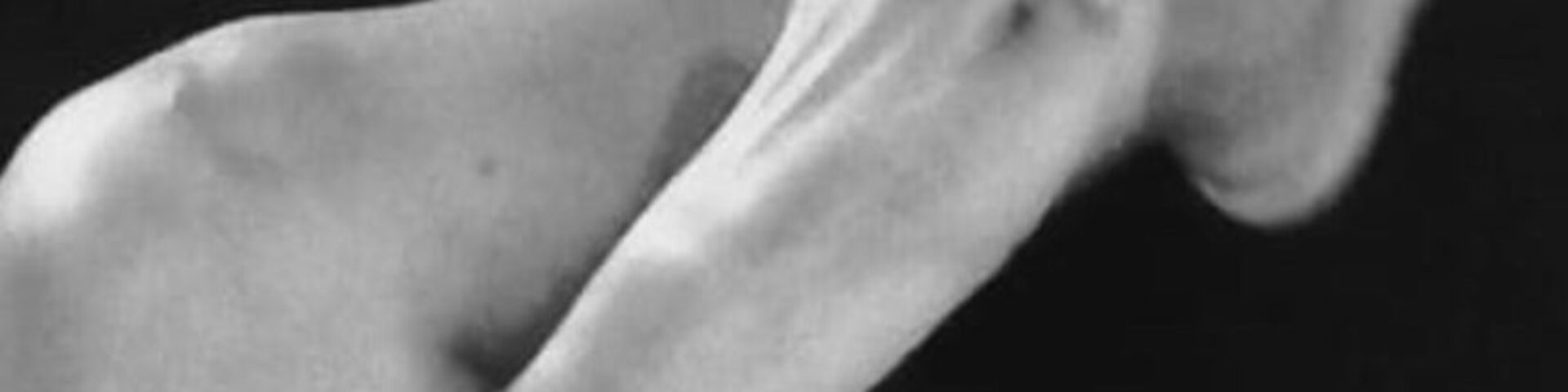 WhatsApp Image 2026-04-06 at 17.30.34