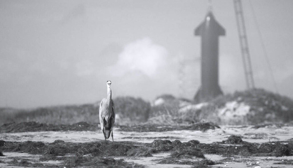 Shifting Baselines_