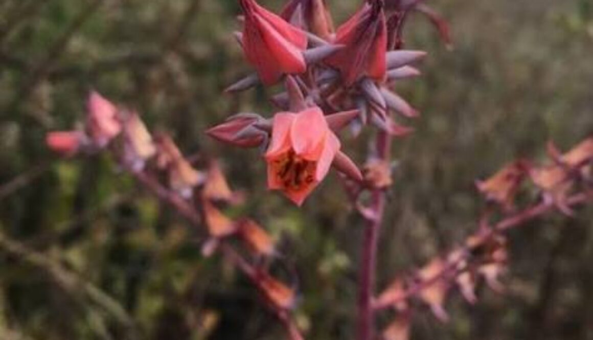 images-4